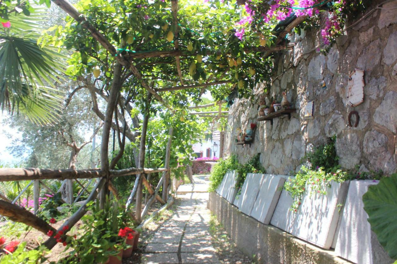 阿马尔菲赫尔莫萨旅馆住宿加早餐旅馆 外观 照片