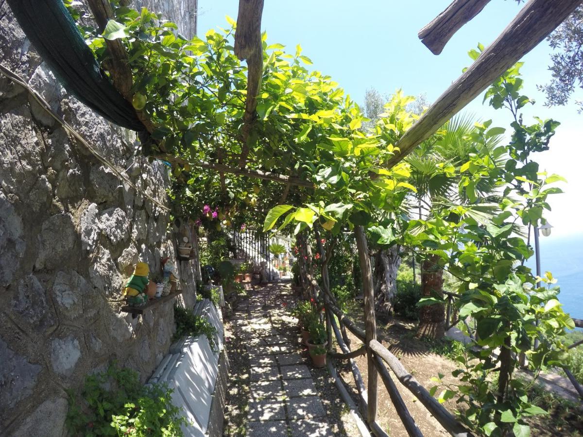 阿马尔菲赫尔莫萨旅馆住宿加早餐旅馆 外观 照片