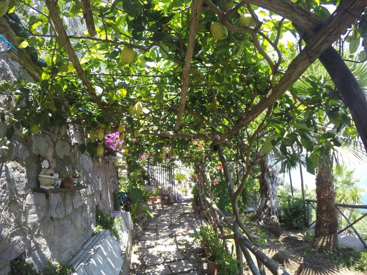 阿马尔菲赫尔莫萨旅馆住宿加早餐旅馆 外观 照片
